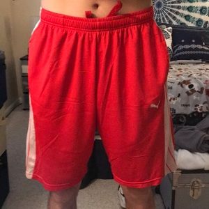 Puma shorts
